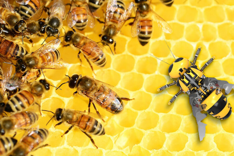 Un nido d'ape robotizzato per l'interazione con una colonia di api mellifere